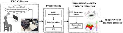 Recognition of motor intentions from EEGs of the same upper limb by signal traceability and Riemannian geometry features